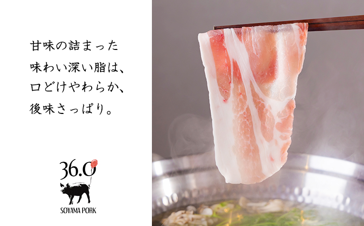 ãœã€ãããŒã¯å³ããå ªèœ3çš®ã»ããTF0830-P00078