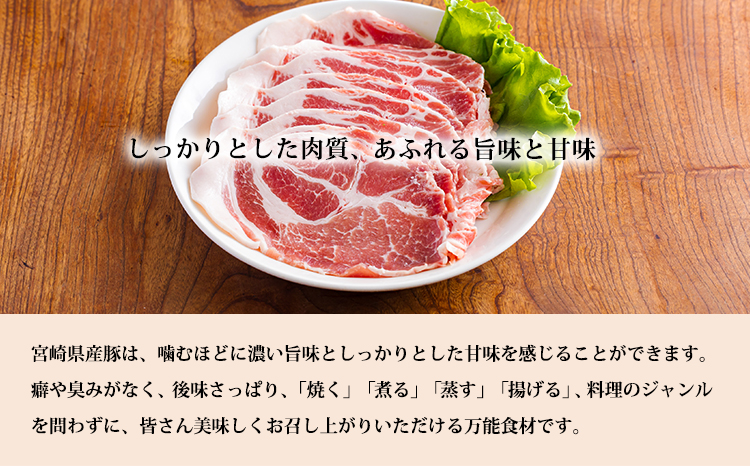 おいしさ満喫　高原育ちの宮崎県産豚肉5種バラエティーセット1.5kg 　TF0779