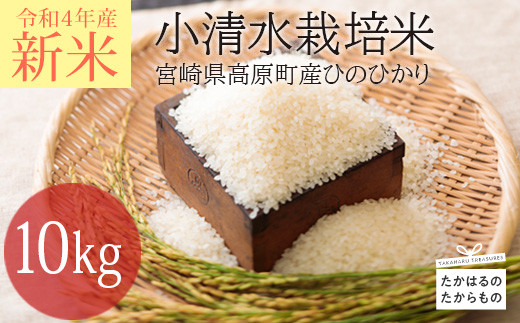 杜の穂倉 小清水栽培米ひのひかり10kg　 TF0420