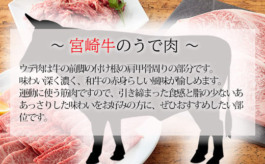 宮崎牛焼肉用（うで肉）約750g　 TF0569