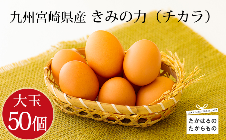 宮崎県産たまご『きみの力(チカラ)』Lサイズ大玉50個 産地直送の玉子 L玉 産直  　TF0793-P00035