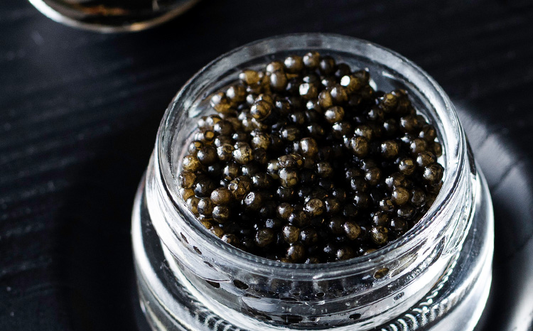 Takaharu Caviar(たかはるキャビア)『皇子』20g×5瓶セット　 TF0515-P00045