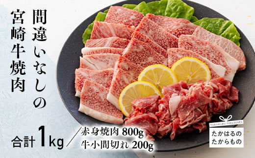 宮崎牛赤身焼肉(ウデ・モモ)800g&黒毛和牛小間切れ200g