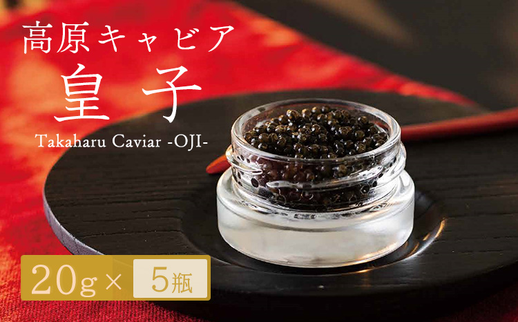 Takaharu Caviar(たかはるキャビア)『皇子』20g×5瓶セット　 TF0515-P00045