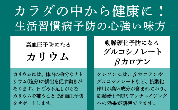 《美容や健康が気になる人に!》無添加クレソンパウダー 国産の和蘭芥子100%使用 TF0794-P00074