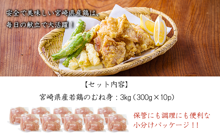 å®®åŽçç£è¥é¶ããåã身3.0kgïŒ300gÃ10PïŒTF0833-P00063