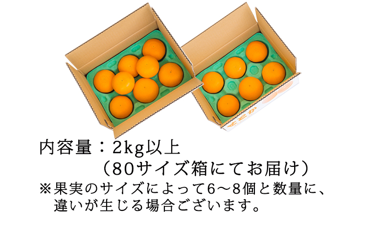 【期間限定】柑橘の高級種ブランド 高原町産「せとか」無選別 約2kg(大小混合6～8玉) TF0814-P00068 