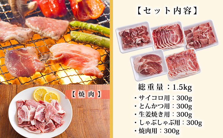おいしさ満喫　高原育ちの宮崎県産豚肉5種バラエティーセット1.5kg 　TF0779
