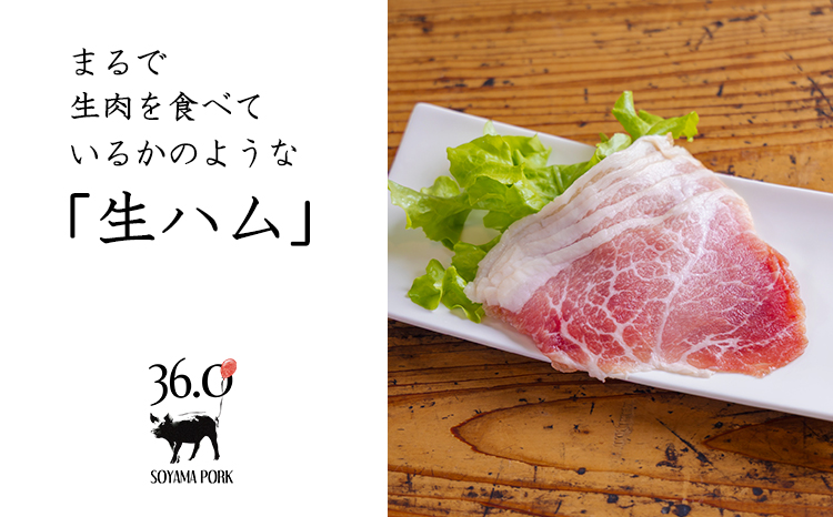 ãœã€ãããŒã¯å³ããå ªèœ3çš®ã»ããTF0830-P00078