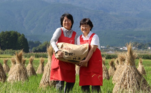 杜の穂倉 小清水栽培米ひのひかり玄米 30kg　 TF0421