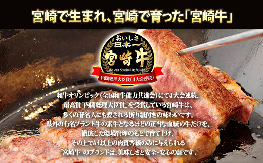 宮崎牛定期便[3ヶ月]ステーキ・焼肉 合計1200g 黒毛和牛のステーキや焼肉を3回に分けて発送！ ［国産 ブランド牛 お肉 ステーキ　焼肉 50000円 5万円］　 TF0684