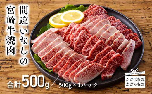 厳選 宮崎牛焼肉用500g 　 TF0556