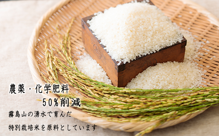 もちもちチュロス《米粉使用！》 20本入り 小麦粉を使わないグルテンフリー 特別栽培米が原料 スイーツ おやつ お菓子 おかし 誕生日 ハロウィン ホームパーティ 子ども 子供　 TF0792-P00045 