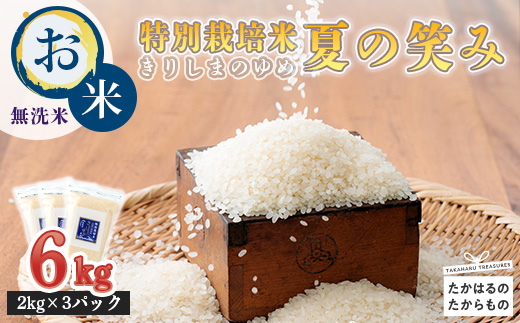 縲蝉サ、蜥7蟷エ逕」縲代悟、上ョ隨代∩縲咲┌豢礼アウ 6kg - 髴ァ蟲カ貉ァ豌エ縺瑚ご繧 縺阪j縺励∪縺ョ繧繧 TF0267-P00026