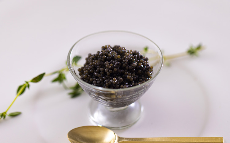 THE・CAVIAR(ザ・キャビア)　30g　 TF0487-P00066