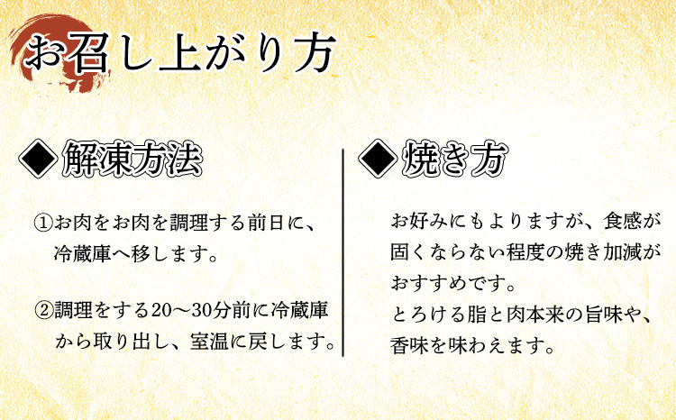 《内閣総理大臣賞受賞》宮崎牛 焼肉用セット 2kg 焼き肉用・網焼き用の黒毛和牛詰め合わせ [5万円 50000円 五万円]　 TF0285