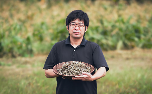 国産 無農薬 ノンカフェイン スギナ茶「きりしま日和」ティーパックタイプ(1.5g×60包)　 TF0653