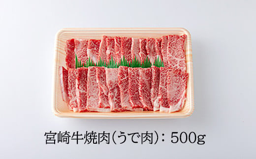 宮崎牛焼肉（うで肉）約500g　 TF0568-P00012