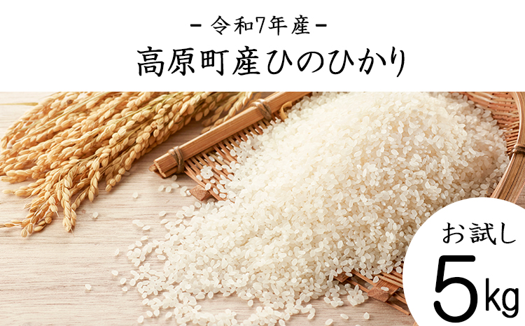 【令和7年産 新米】宮崎県高原町産 ひのひかり白米 5kg TF00854-P00079
