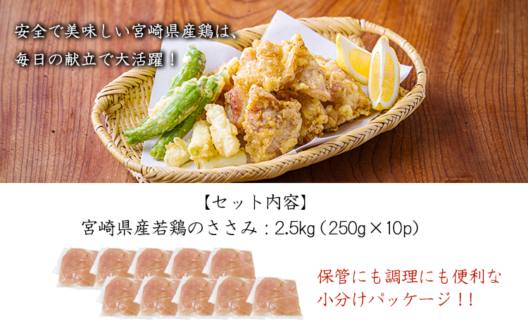 宮崎県産若鶏ささみ（筋なし）2.5kg（250g×10P）TF0839-P00063