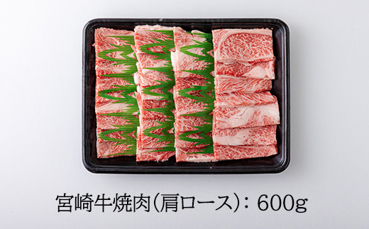 宮崎牛焼肉（肩ロース）約600g　 TF0573-P00012