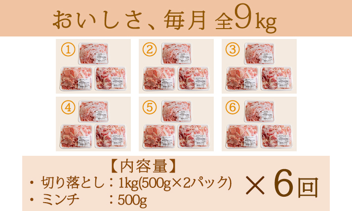 【定期便6回】 豚肉詰め合わせ《寄付金45,000円で合計9kg！》国産 豚肉切り落とし＆豚肉ミンチ 大容量2種セット 合計9000g TF0769-P00070