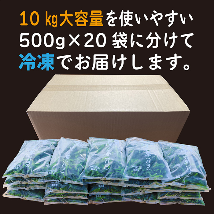 宮崎県産ほうれん草 大容量10kg 業務用 TF0590-P00019