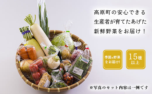 国産『季節の野菜詰め合わせセットA』15種類以上　 TF0668