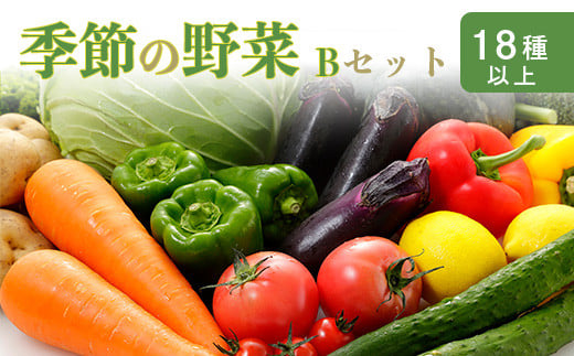 国産『季節の野菜詰め合わせセットB』18種類以上　 TF0669