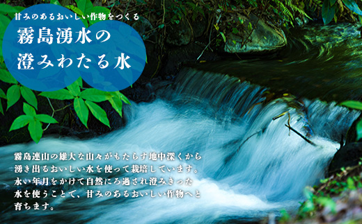  【令和8年産先行受付】霧島湧水が育む「きりしまのゆめ」にじのきらめき(無洗米)6kg 減農薬栽培のお米 TF0894-P00026