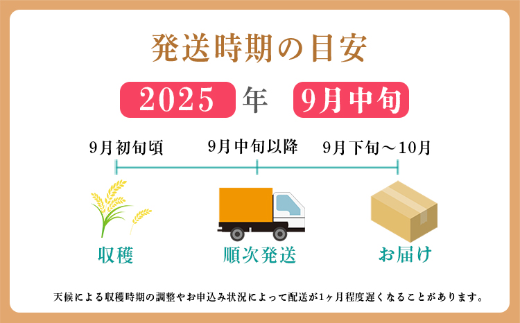 「令和7年産」【先行受付】霧島湧水が育む「きりしまのゆめ」コシヒカリ6kg無洗米　TF0664-P00026