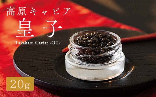 Takaharu Caviar(たかはるキャビア)『皇子』20g　 TF0513