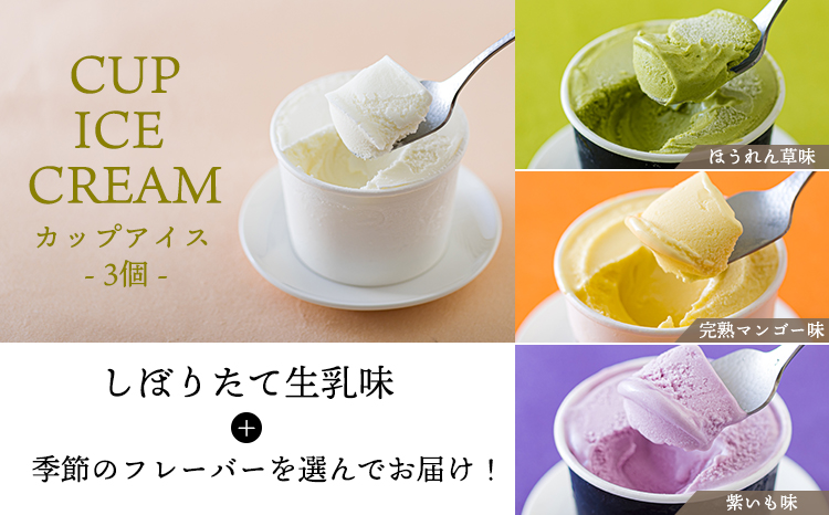 高原アイスクリーム研究所のアイスクリームお楽しみFセット カップアイス ミニパフェ 飲むアイスの3種9個＆ドリップコーヒーTF0825-P00023