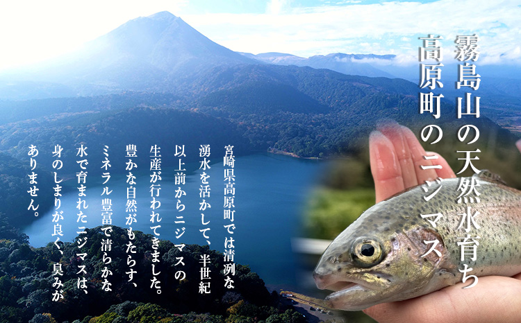 ニジマスの干物《奥霧島の山河の恵み》国産の天然塩と魚醤で味付けた川魚「虹鱒」の開き [焼き魚 干し魚 無添加 ひもの 奥霧島ドライレインボートラウト] TF0791-P00045