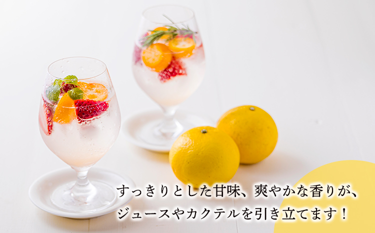 宮崎県の特産柑橘 日向夏の手搾り果汁1L(業務用)  [保存料不使用12000円 ワンストップオンライン] TF0820-P00074