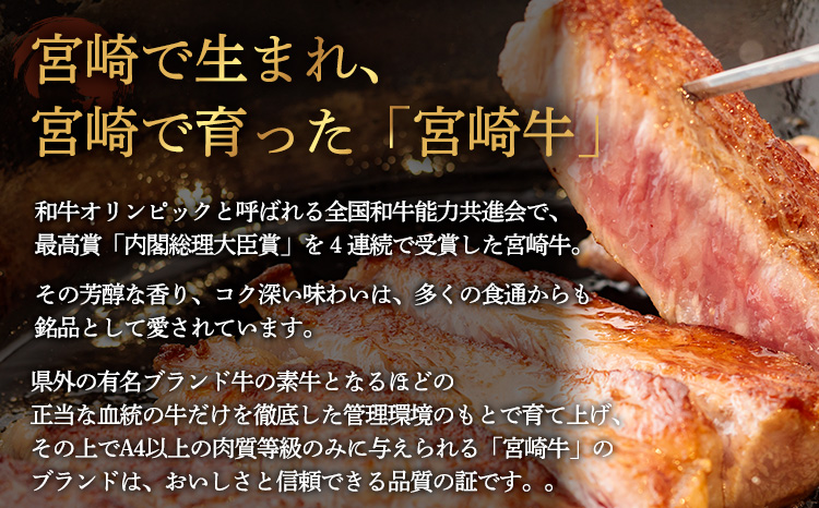 《内閣総理大臣賞受賞》宮崎牛 焼肉用セット 2kg 焼き肉用・網焼き用の黒毛和牛詰め合わせ [5万円 50000円 五万円]　 TF0285-P00020