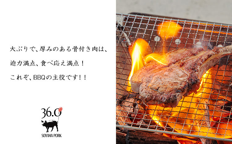 ãœã€ãããŒã¯ã®éªšä»ãèã»ããTF865-P00078