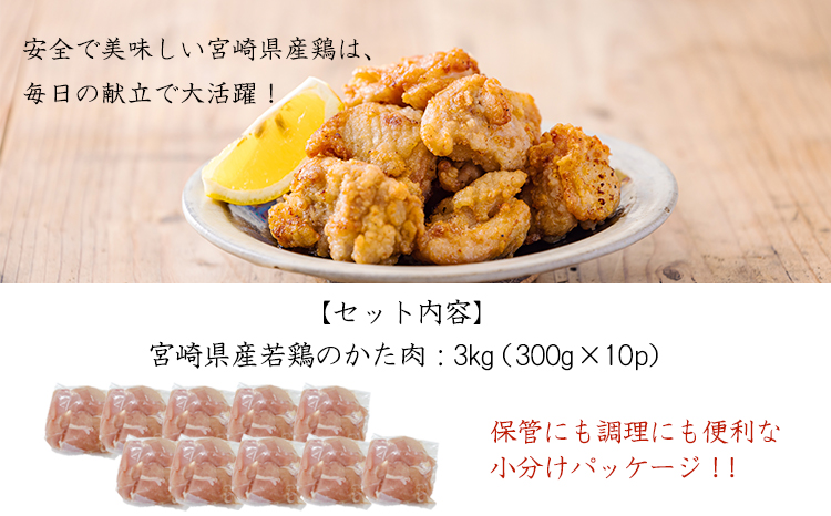 螳ョ蟠守恁逕」闍・鮓剰か閧3.0kgシ300gテ10Pシ欝F0836-P00063