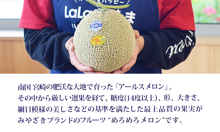 【期間限定】みやざきブランドフルーツ「めろめろメロン」1箱(3L×2玉) 糖度14度以上  アールスメロン ギフト 人気フルーツ 高原町の果物 TF0661-P00055