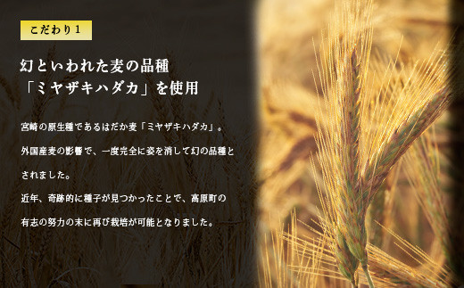 裸麦「ミヤザキハダカ」仕込　麦焼酎「駒」12本セット  宮崎県のお酒  TF0426-P00001