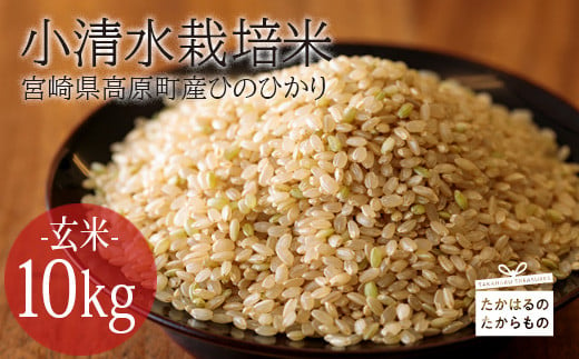 杜の穂倉 小清水栽培米 ひのひかり玄米10kg　 TF0324