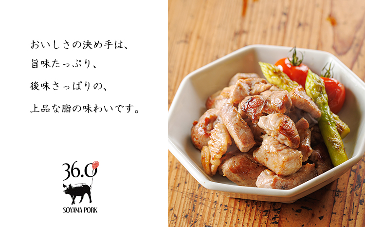 ãœã€ãããŒã¯ã®å å·¥åè©°ãåããTF862-P00078