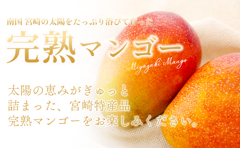 ïŒèš³ãã å®®åŽçç£ å®çãã³ãŽãŒ åèšçŽ1.5kgïŒ3ã5çïŒïŒâ»å
¥é確èªåŸã2026幎5æäžæ¬ãã7ææ«è¿ã«é 次åºè· èš³ã¢ãª ãèªå®
ãè€çŸ ãããã«ã« åœç£ æç© æå® ãã«ãŒã ååœ çã æ¬ïŒæ ªïŒã¯ãŒã«ãã¯ã€ããã¬ãŒã å®®åŽç åœå¯çºãå·èµã