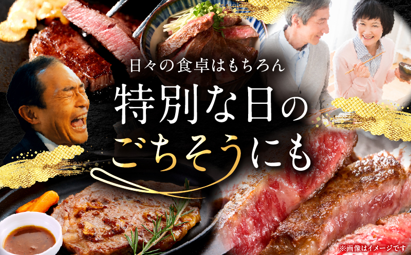 【畜産農家応援】宮崎牛 ロースステーキ 2枚 合計500g