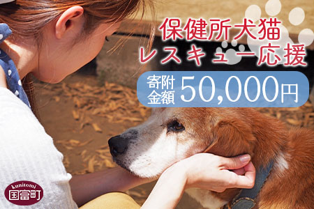 ＜保健所犬猫レスキュー【返礼品なしのご寄附】＞寄付金額50,000円※お礼状をお送りいたします。【 動物愛護 保護 犬 猫 いぬ ねこ イヌ ネコ 動物 どうぶつ ペット 応援 支援 寄付 使い道 いのちのはうす保護家 】