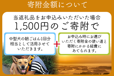 ＜保健所犬猫レスキュー【返礼品なしのご寄附】＞【 動物愛護 愛護活動 保護 犬 猫 いぬ ねこ イヌ ネコ 動物 どうぶつ ペット 応援 支援 寄付 使い道 寄附のみ いのちのはうす保護家 】