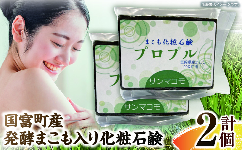 蝗ス蟇檎伴逕」逋コ驟オ縺セ縺薙b蜈・繧雁喧邊ァ遏ウ鮖ク 2蛟具シ90gテ2蛟具シ