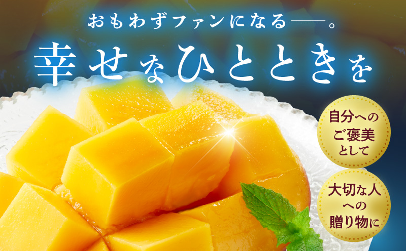 宮崎県産 太陽のタマゴ 2L×2玉