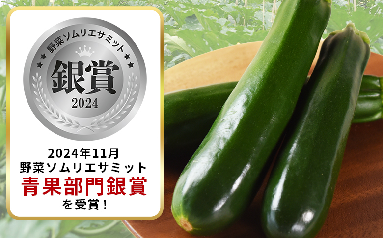 ＜野菜ソムリエサミット銀賞受賞！ あなたにズッキーニ約2kg（10本）＞1か月程度で出荷【 野菜 青果 国産 生食 輪切り ソテー サラダ 天ぷら ラタトゥイユ 】