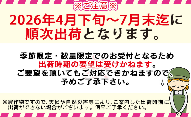 【先行予約 2026年発送】＜宮崎県産完熟マンゴー 太陽のタマゴ 2L 合計1玉＞入金確認後、2026年4月下旬〜7月末迄に順次出荷【 選べる 個数 内容量 大きさ サイズ 国産 かんじゅく とろける 果物 果実 フルーツ 南国 芳醇 甘い 旬（株）ワールドワイドトレード 宮崎県 国富町】